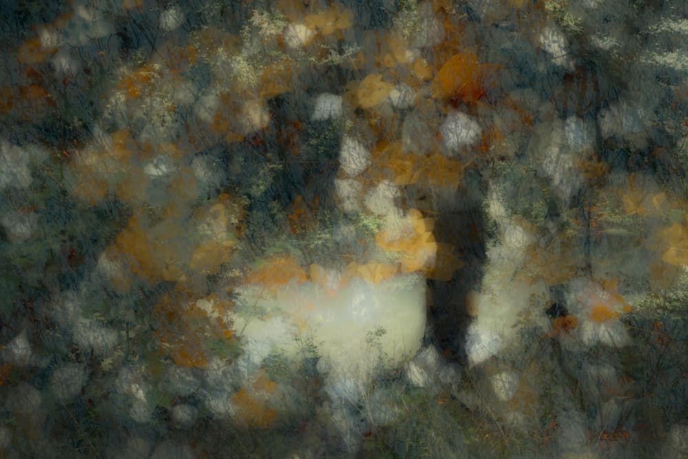 Look through by Nel Talen — canvas wall art