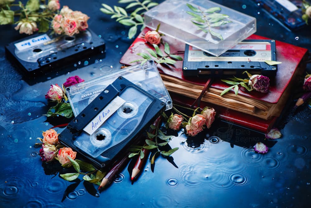 Rainy Day Nostalgia by Dina Belenko — canvas wall art