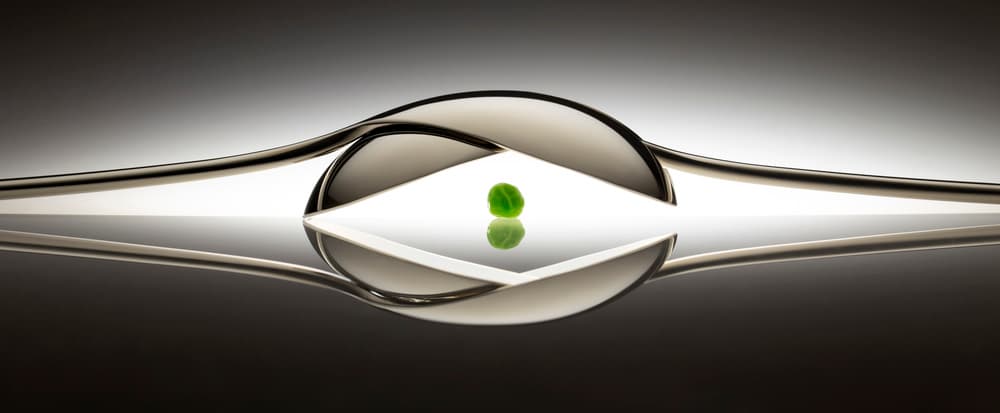 Elegant Pea Reflection by Wieteke de Kogel — canvas wall art
