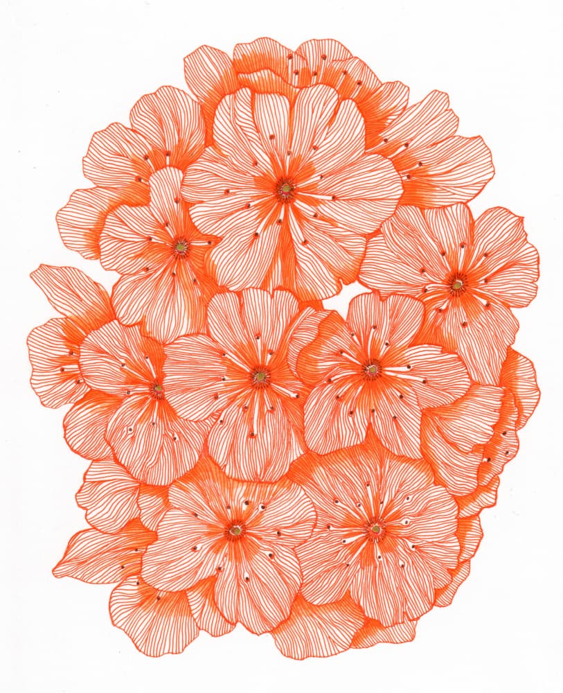 Big Orange Flowers by Katie O'Shea — canvas wall art