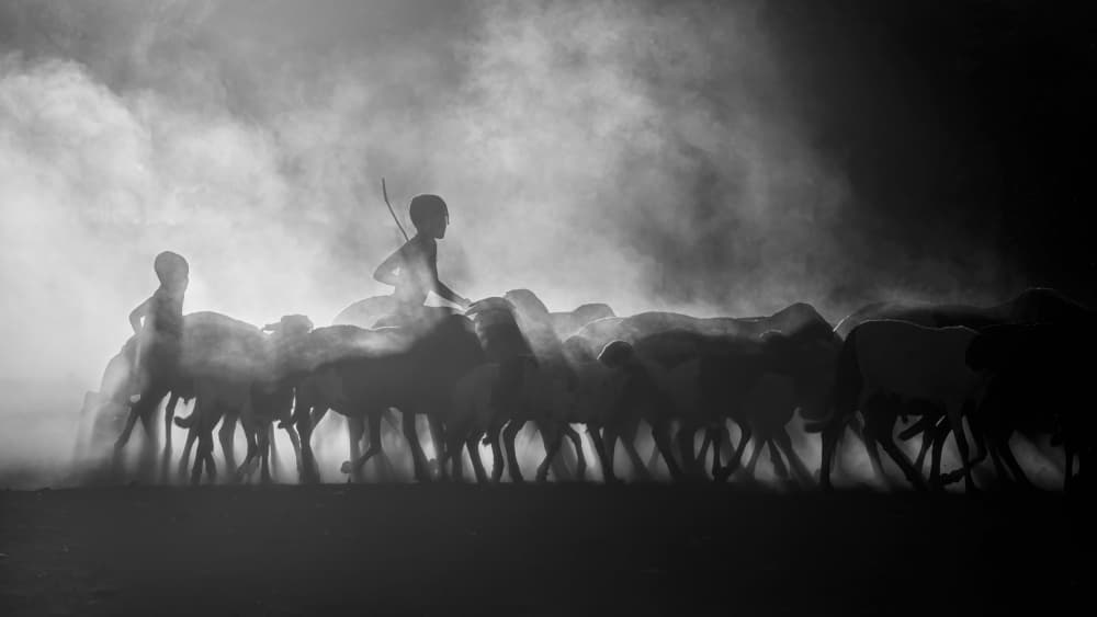 Shepherds In Dusty Light by Joan Zhang — canvas wall art