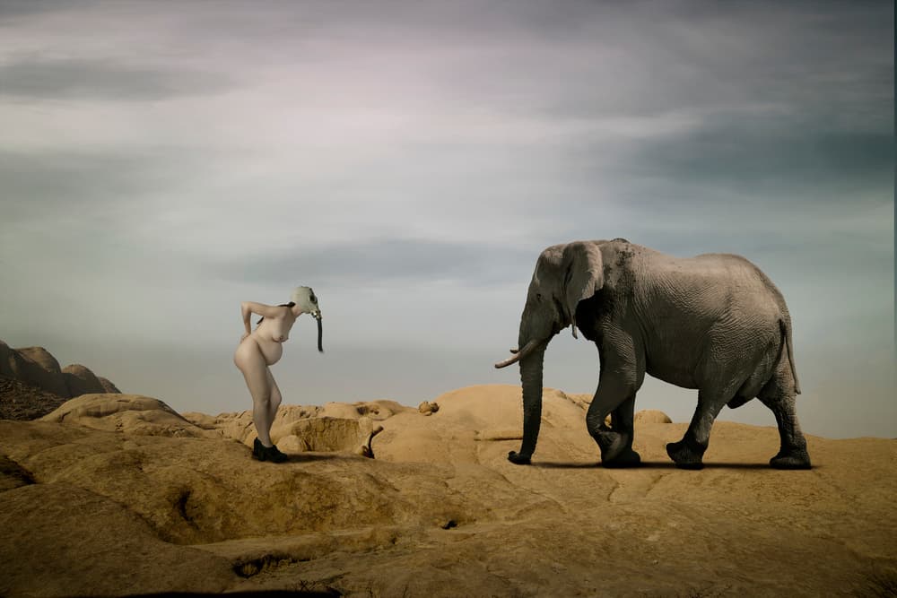 Surreal Desert Encounter by Christine von Diepenbroek — canvas wall art