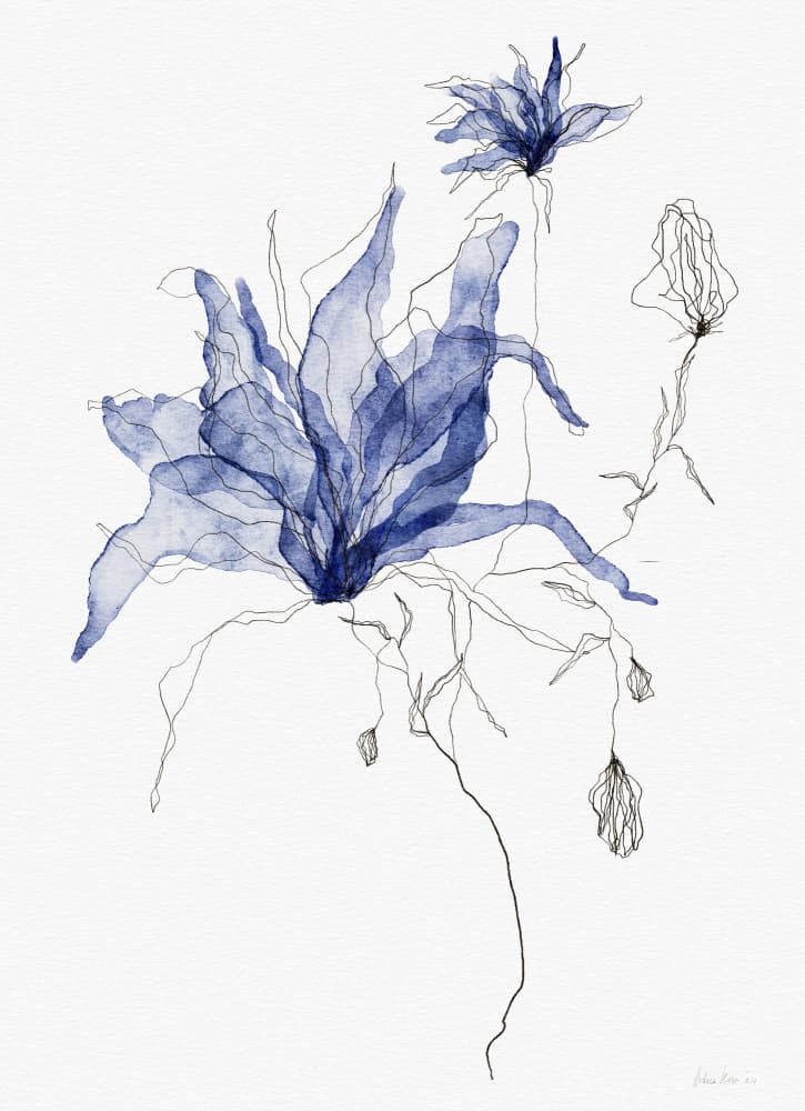 Indigo Watercolor Florals by Ankie Kooi — canvas wall art