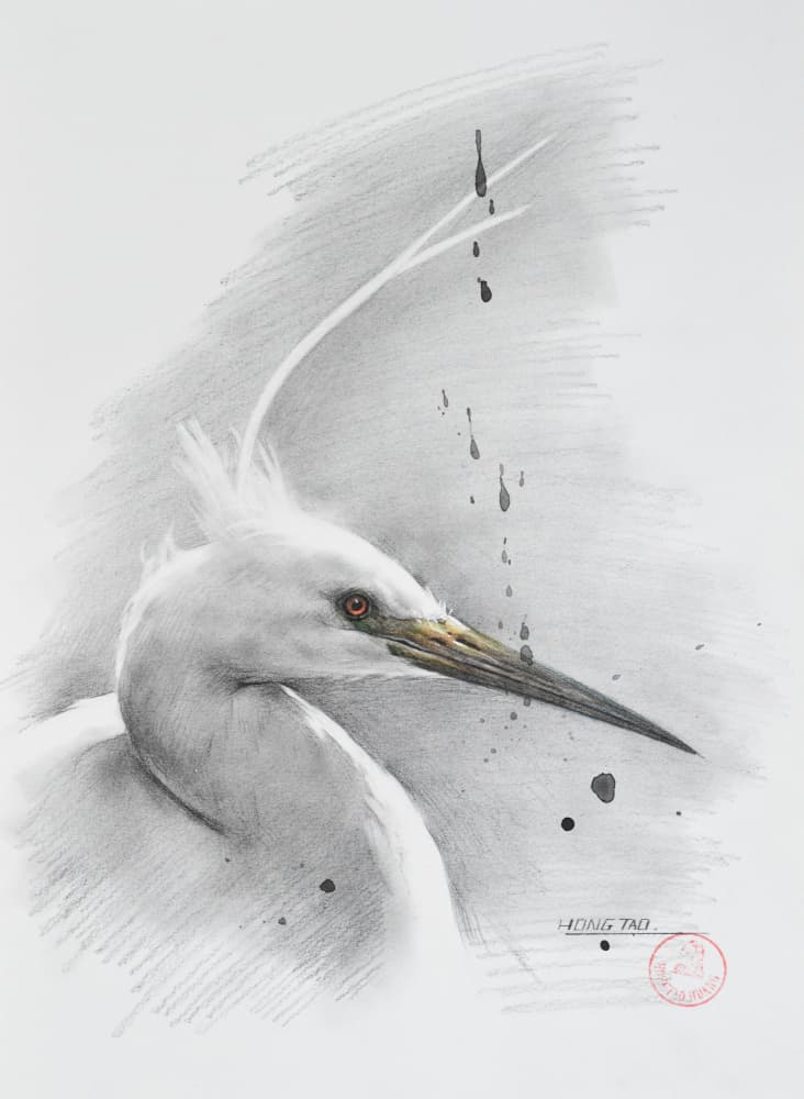 Elegant Egret Drawing by Hongtao Huang — canvas wall art