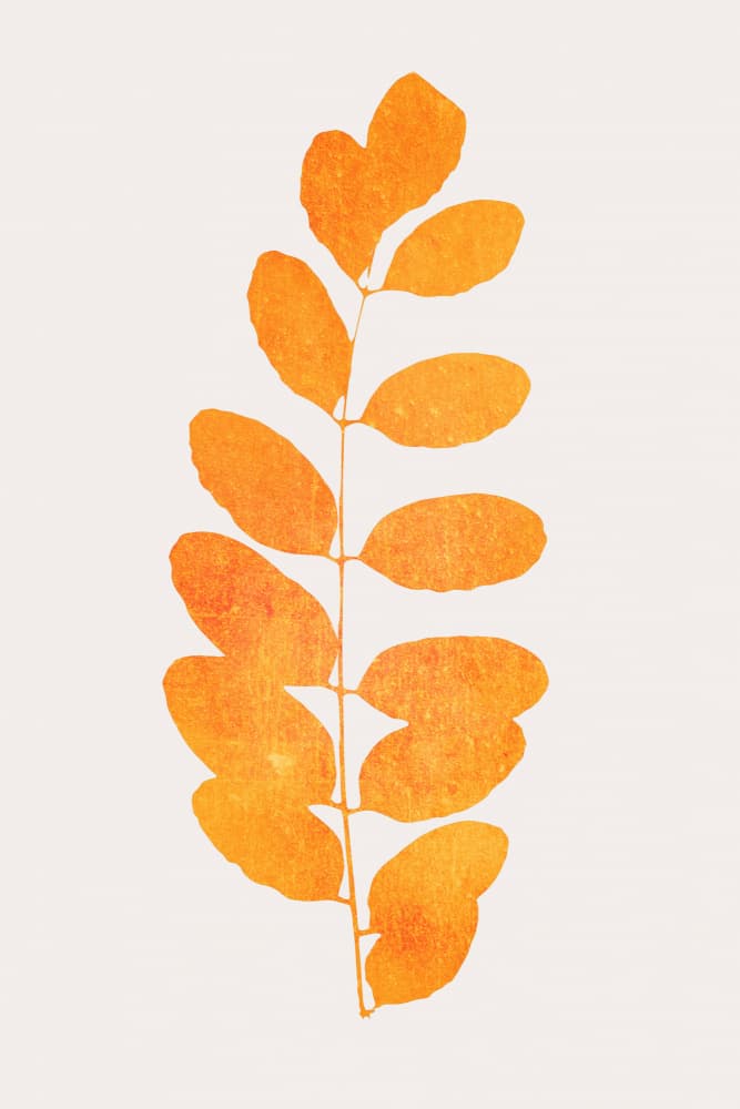 Oak Leaf by Kubistika — canvas wall art
