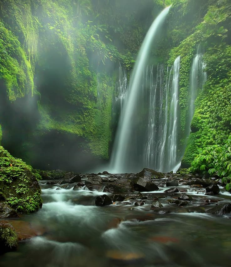 Lush Green Waterfall Stream