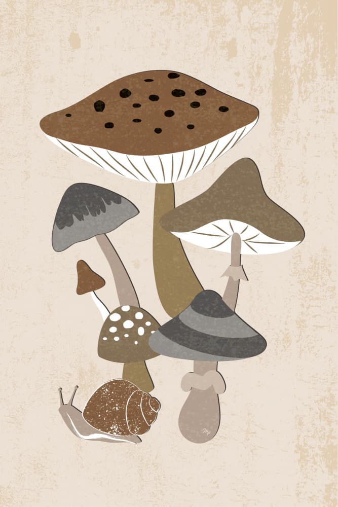 Muted Woodland Mushrooms by Martina — canvas wall art