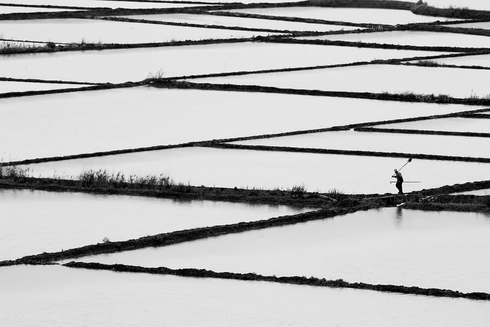 Solitary Figure Rice Paddies by Emine Basa — canvas wall art