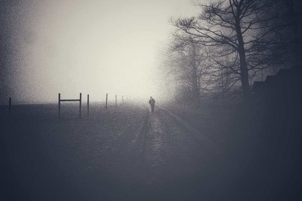 Solitary Figure Misty Path by Robert Kuavi — canvas wall art