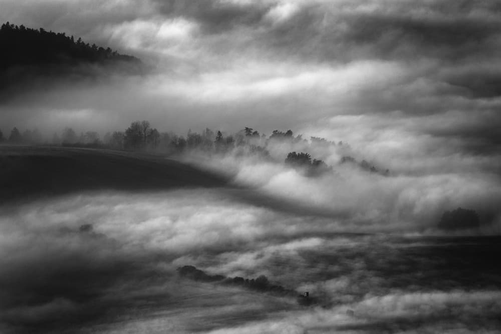 Misty Mountain Forest by Pali Gerec — canvas wall art