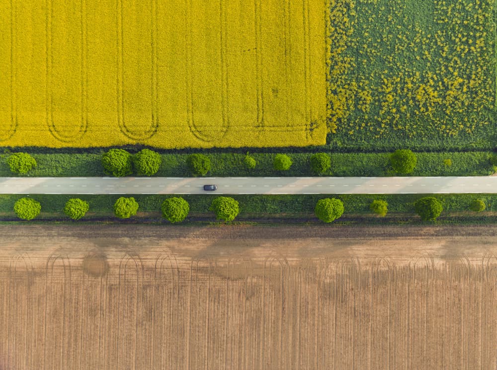 Yellow Fields Country Road by Jure Kravanja — canvas wall art
