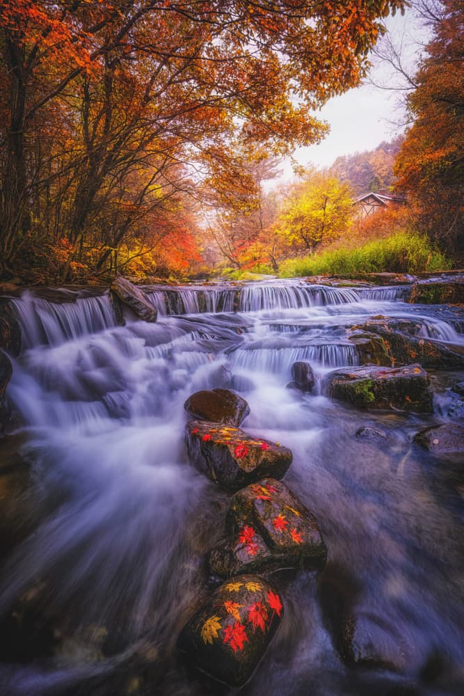 Colorful Autumn Cascades by Tiger Seo — canvas wall art