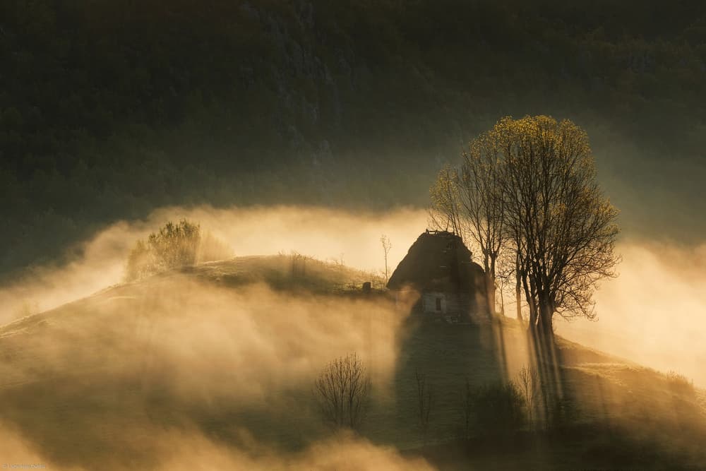 Misty Morning Cabin by Lazar Ioan Ovidiu — canvas wall art