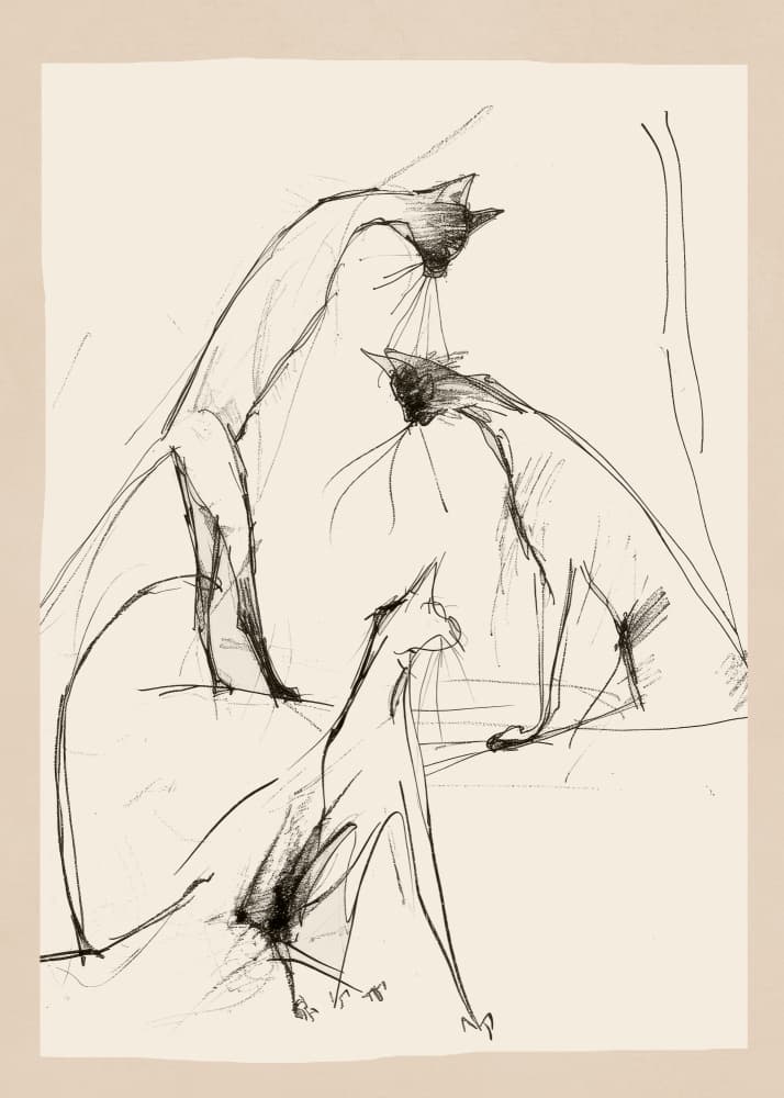 Modern Cat Sketch by Nadjaa — canvas wall art