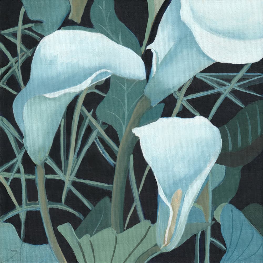 Stylized Arum 2 By Viccy Wanliss by Viccy Wanliss — canvas wall art