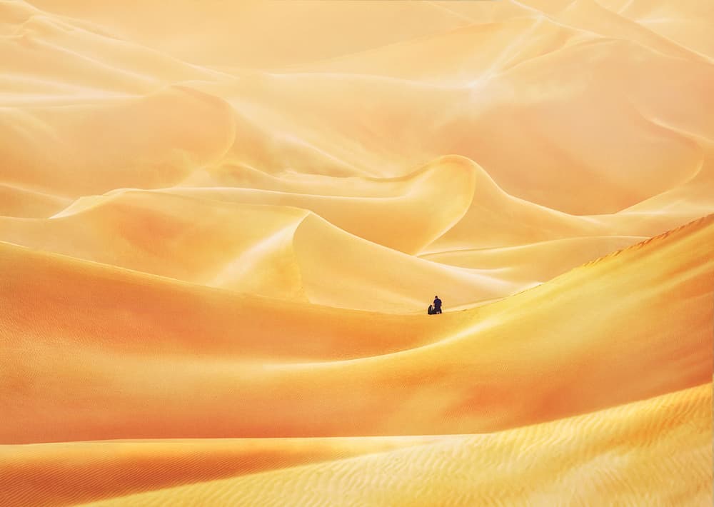 Golden Desert Journey by Anas AlSubhi — canvas wall art