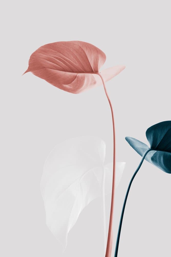 Muted Botanical Trio by Pictufy Studio III — canvas wall art