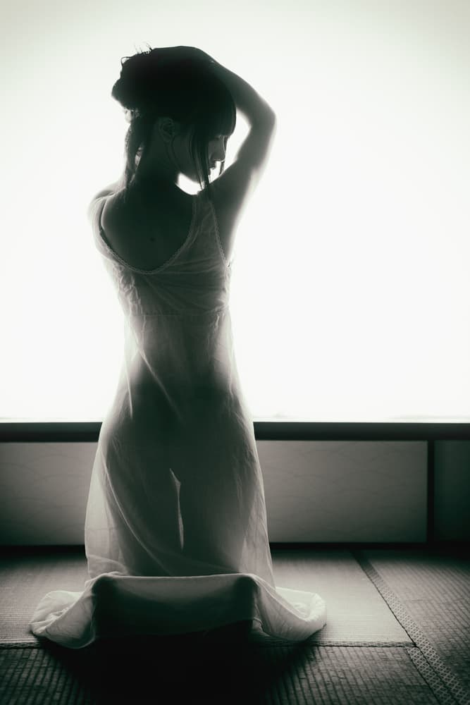 Elegant Sheer Silhouette by Daisuke Kiyota — canvas wall art