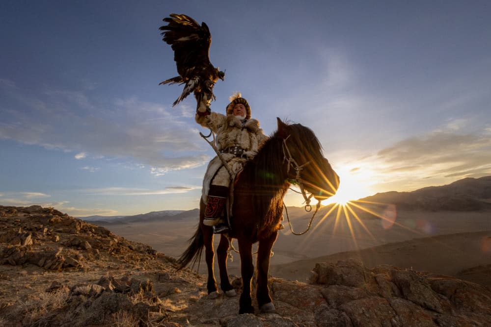 Eagle Hunter At Sunset by ADIREK M — canvas wall art