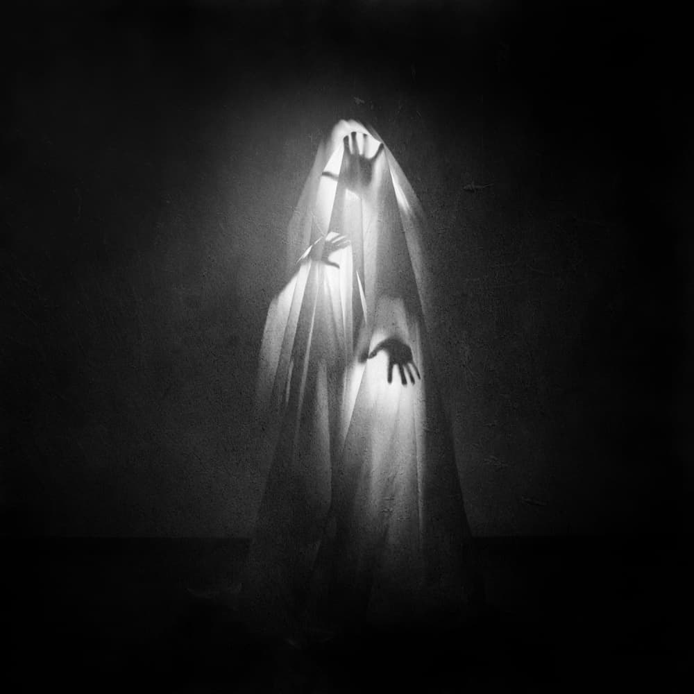 Haunting Veiled Figure by Yaroslav Vasiliev-Apostol — canvas wall art