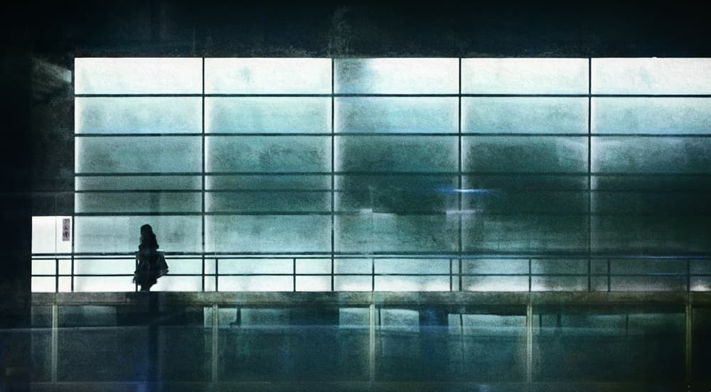 Woman Walking Window Light by Bruno Flour — canvas wall art