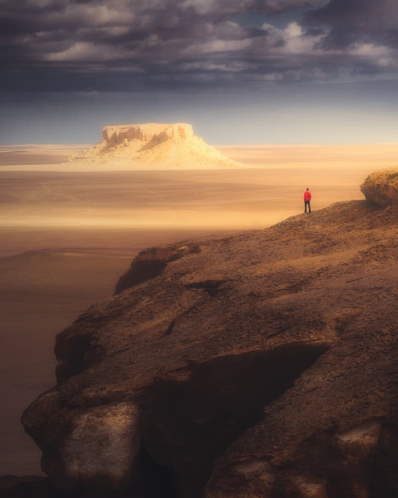 Solitary Desert Vista by David George — canvas wall art
