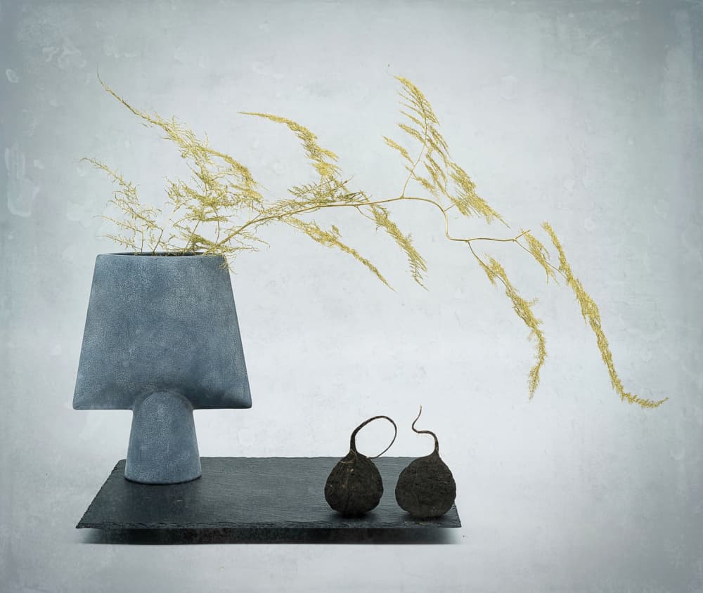 Elegant Organic Still Life by Saskia Dingemans — canvas wall art