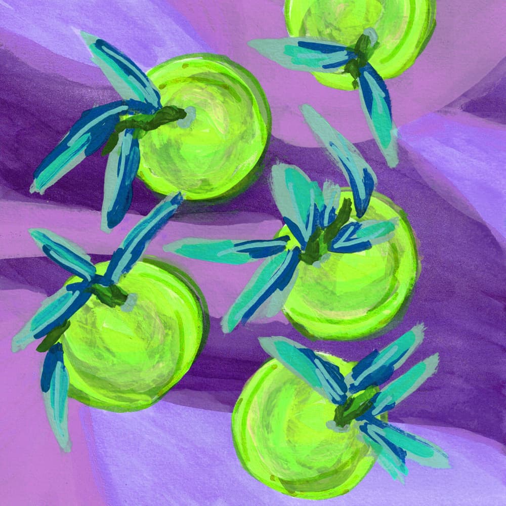 Vibrant Green Limes by Lori Ann Folz — canvas wall art
