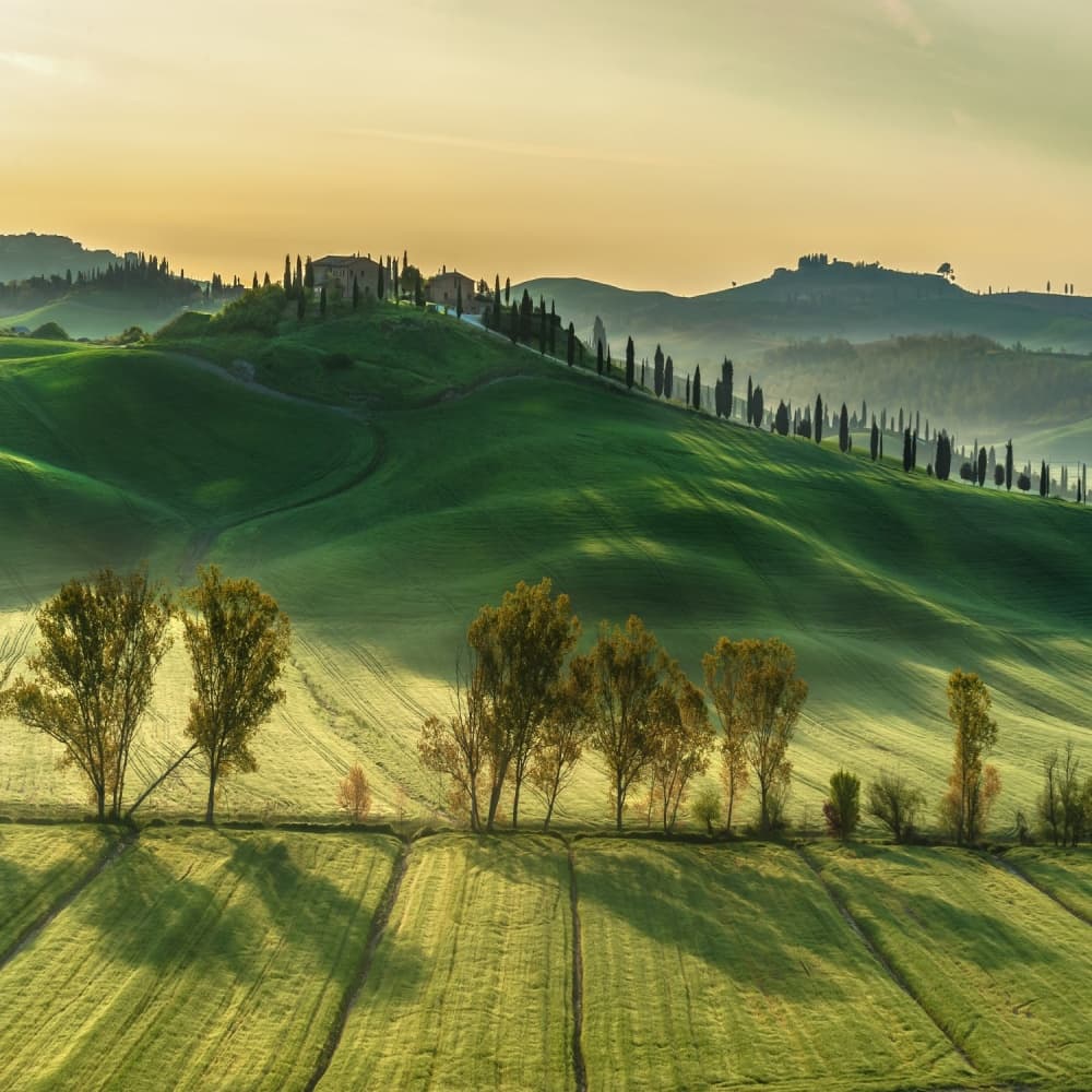 Tuscan Sunrise Hills by Jarek Pawlak — canvas wall art
