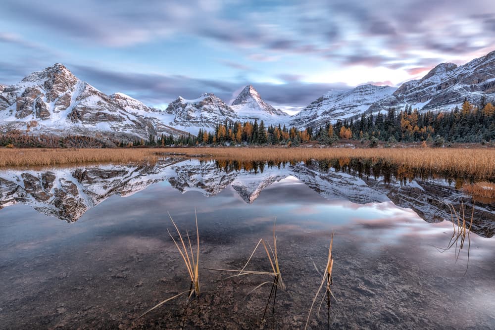 Golden Mountain Reflections by Sunny Ding — canvas wall art