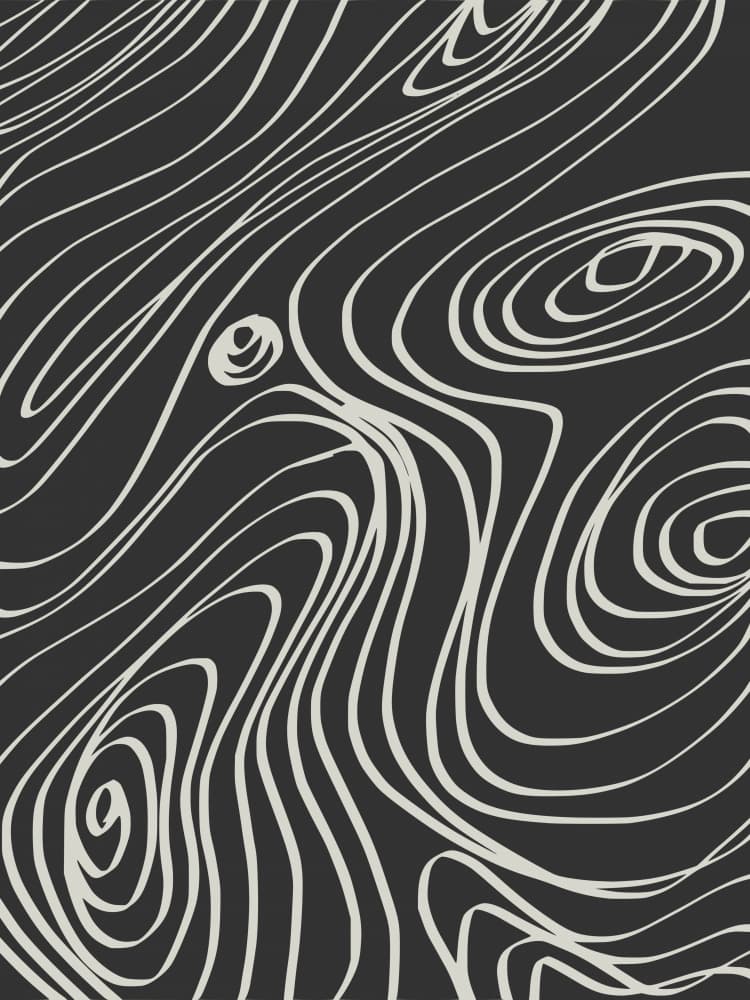 Organic Flowing Lines by Little Dean — canvas wall art