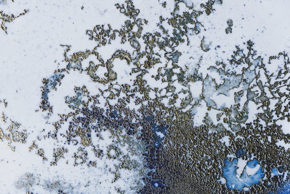 Texture Art - Coral Rising by Petra Meikle de Vlas — canvas wall art