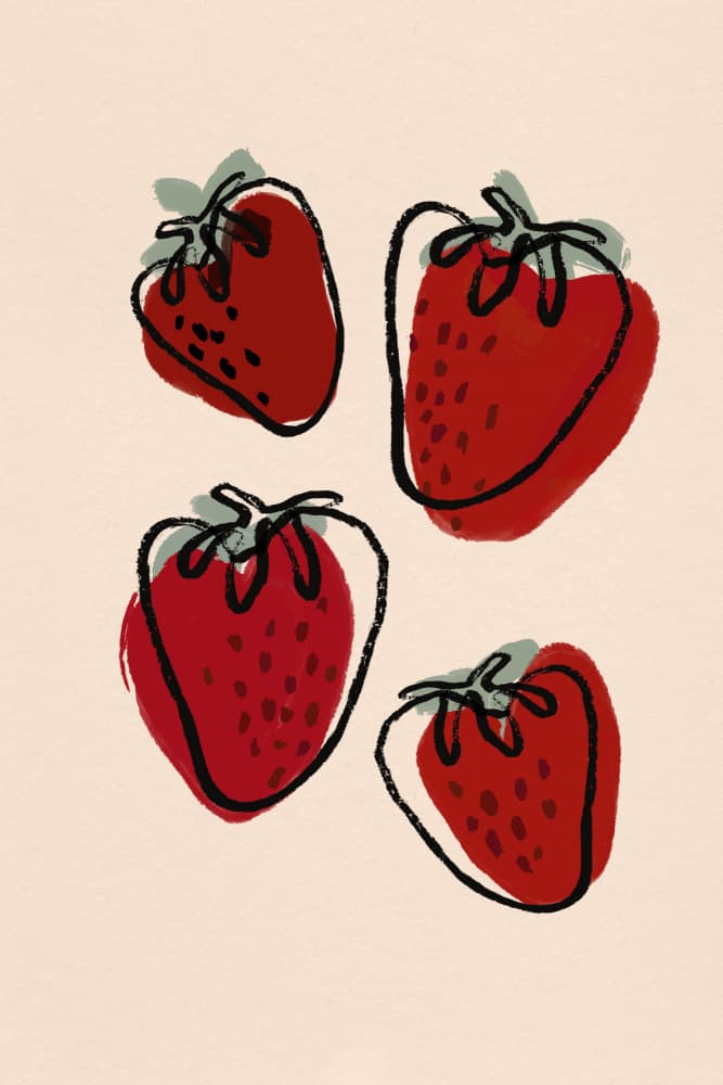 Berry Delight Sketch by Treechild — canvas wall art