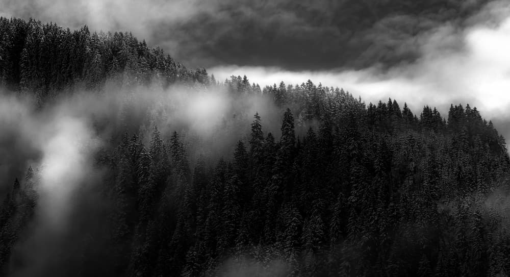 Misty Dark Forest by Slawomir Kowalczyk AFRP FIAP IAAP — canvas wall art