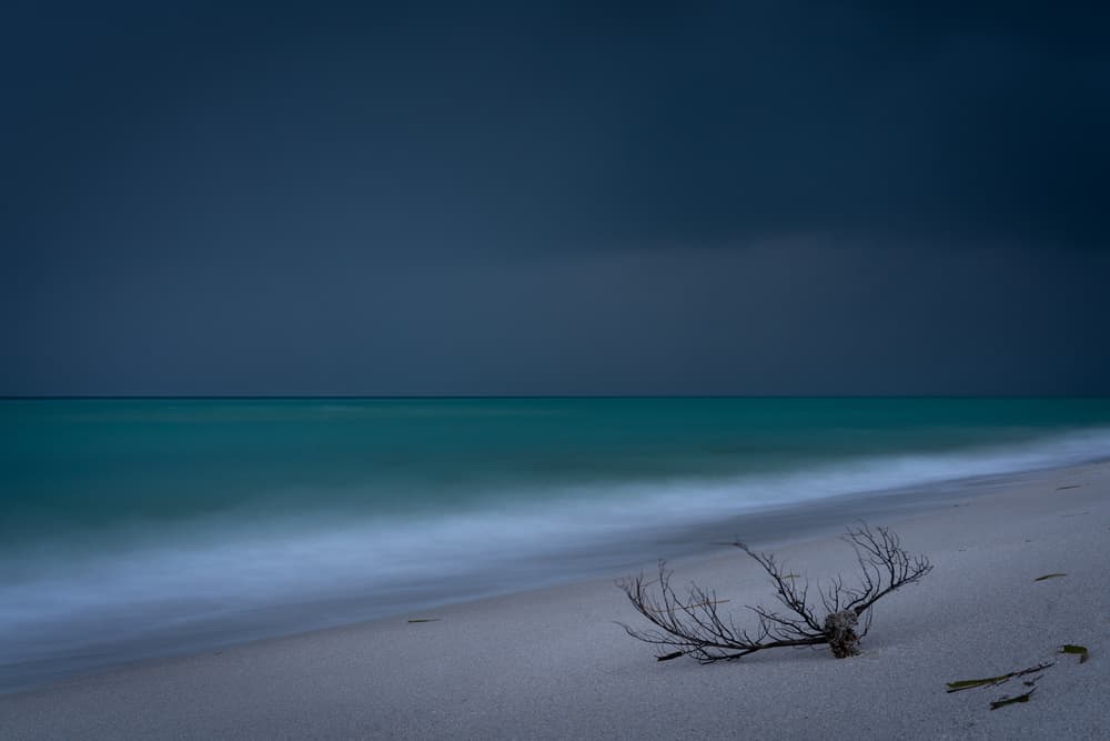 Dark Beach Tranquility by James K. Papp — canvas wall art