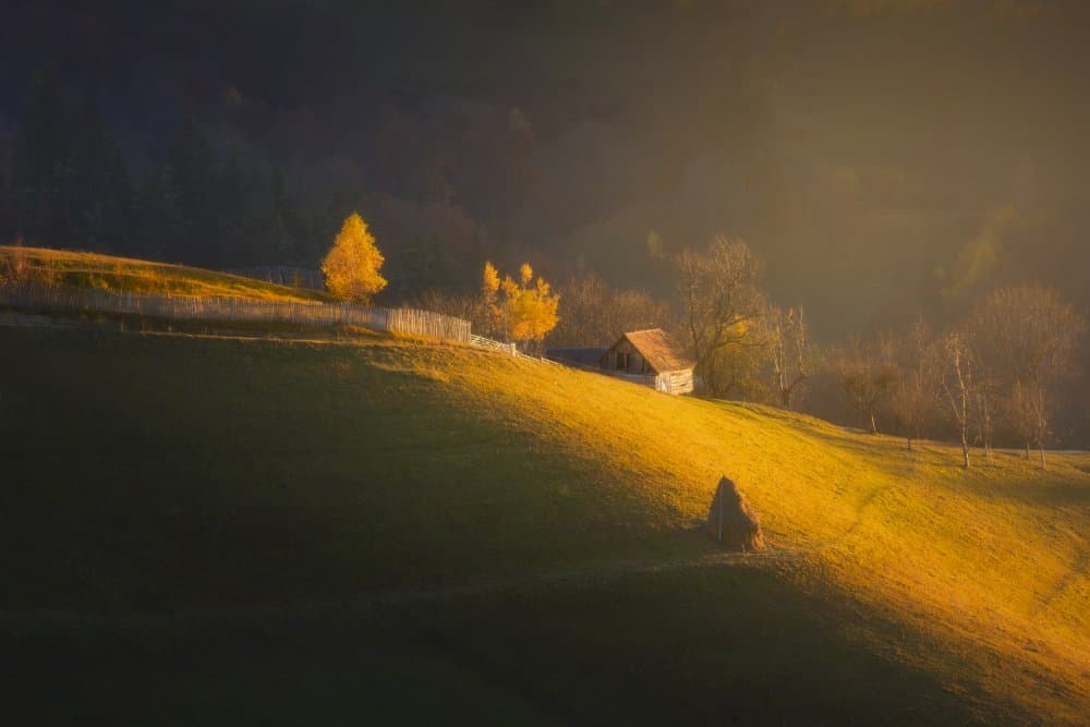 Golden Autumn Hills by Anghel Rusu — canvas wall art