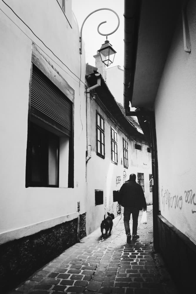 Historic Alley Stroll by Elena Raceala — canvas wall art