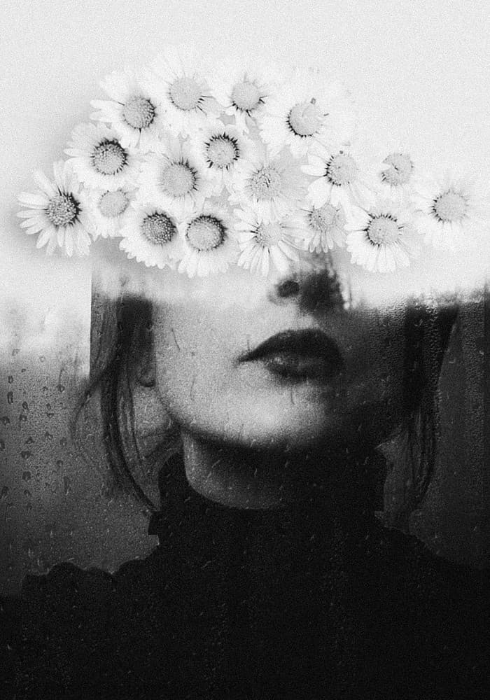 Daisy Dream Portrait by Ingrida Urbonavičienė — canvas wall art