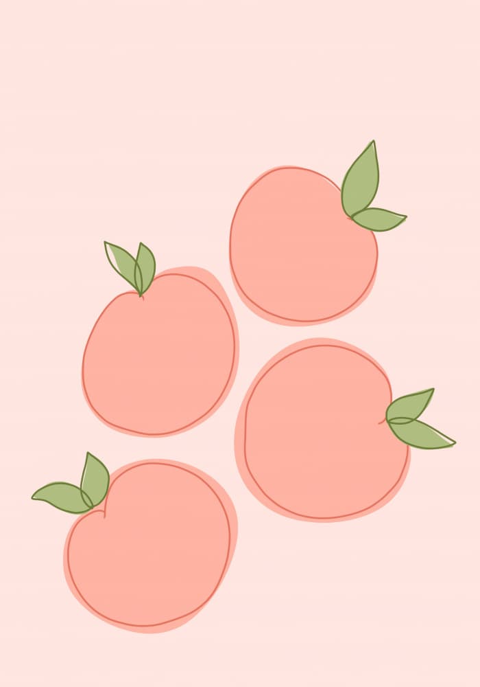 Peachy Quartet by Athene Fritsch — canvas wall art