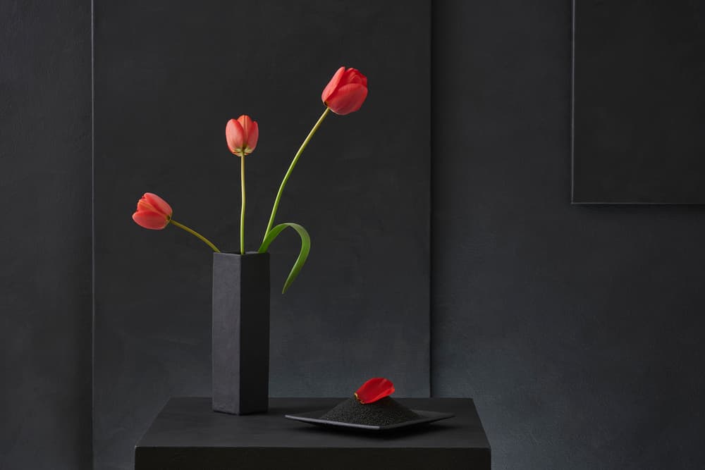Elegant Red Tulips by Christophe Verot — canvas wall art