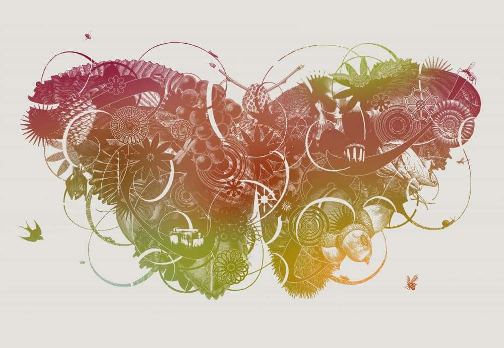 Vibrant Botanical Collage by Jaco Putker — canvas wall art