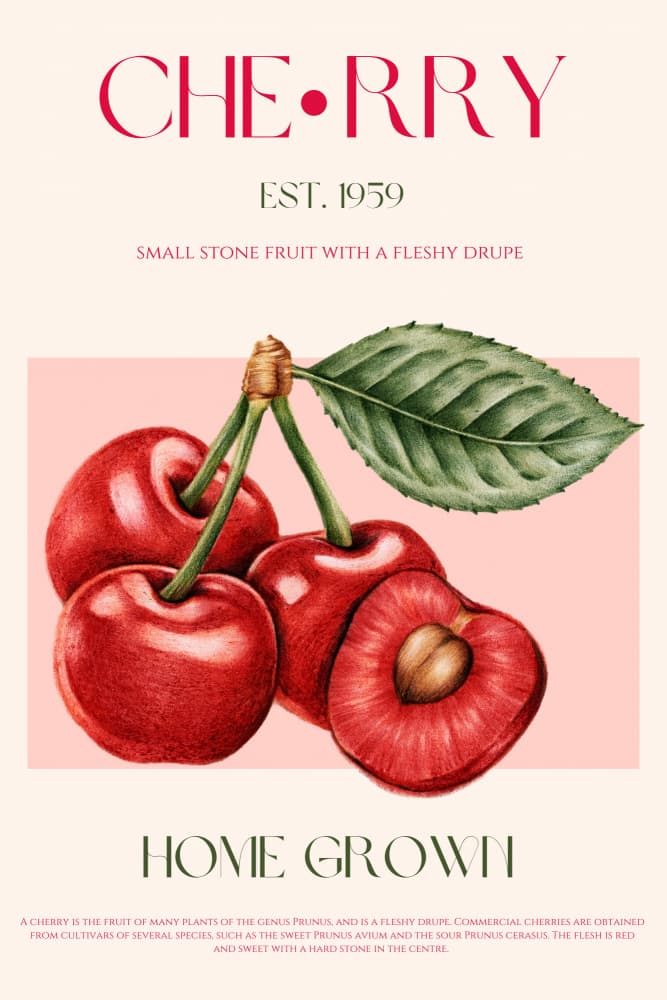 Home Grown Cherries by Nazma Khokhar — canvas wall art