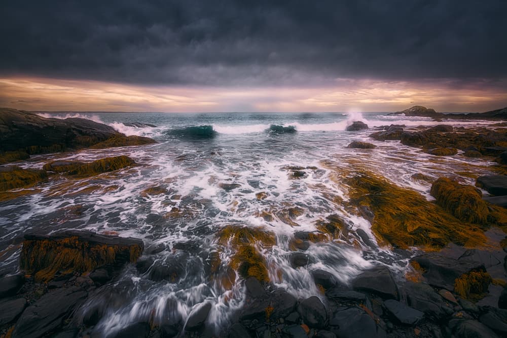 Wild Ocean Twilight by Ben.C.L — canvas wall art