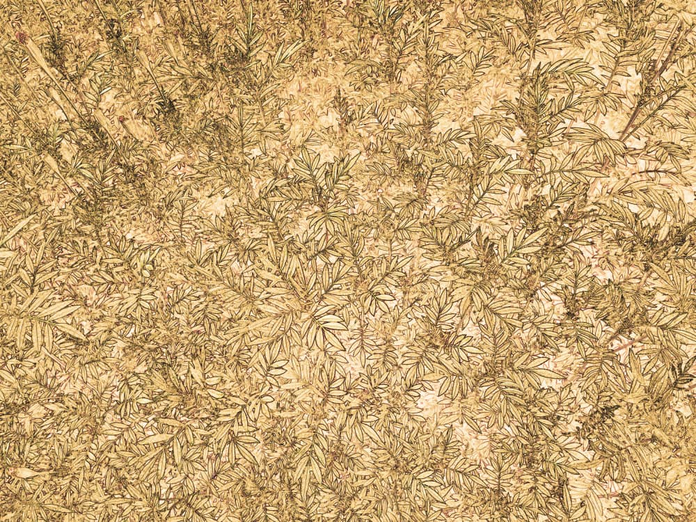 Golden Leaves Pattern by Santhosh ch — canvas wall art
