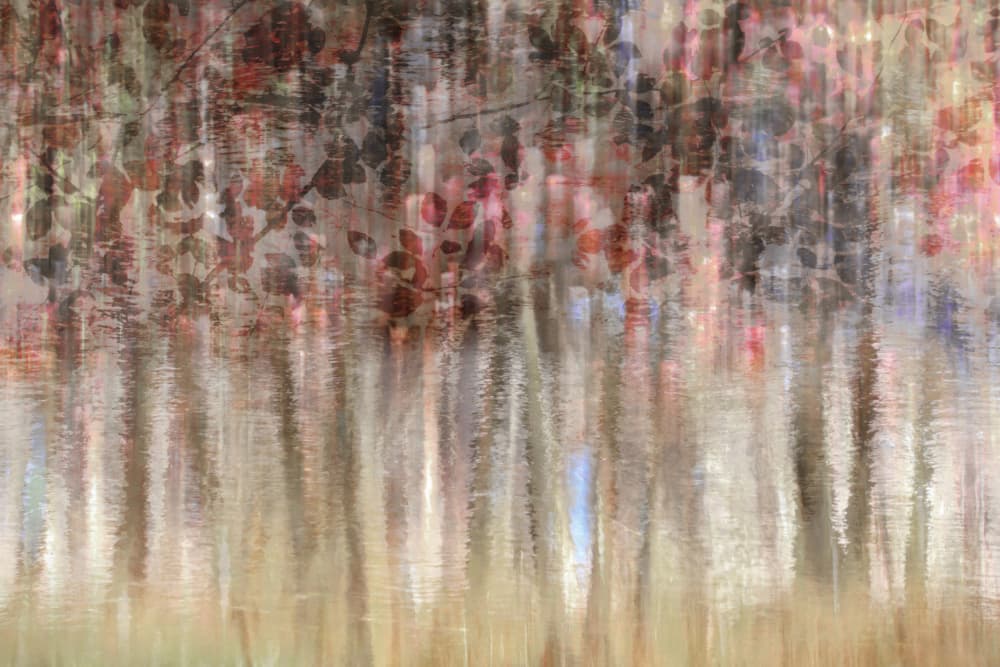 Dreamy Autumn Reflections by Christina Sillen — canvas wall art