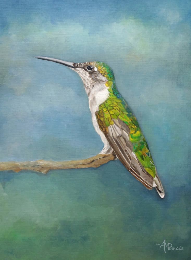 Vibrant Hummingbird Perch by Angeles M. Pomata — canvas wall art