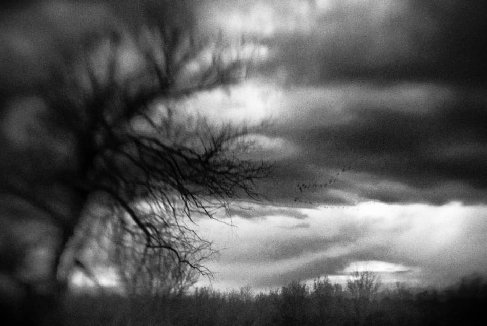 Moody Winter Landscape by Codrin Lupei — canvas wall art