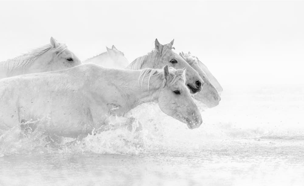 Splashing White Horses by Jennifer Lu — canvas wall art