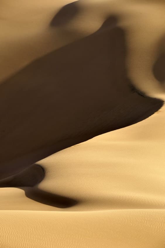 Sunlit Desert Dunes by Arash Karimi — canvas wall art