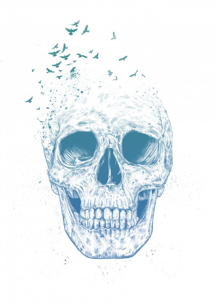 Skull And Flying Birds by Balazs Solti — canvas wall art
